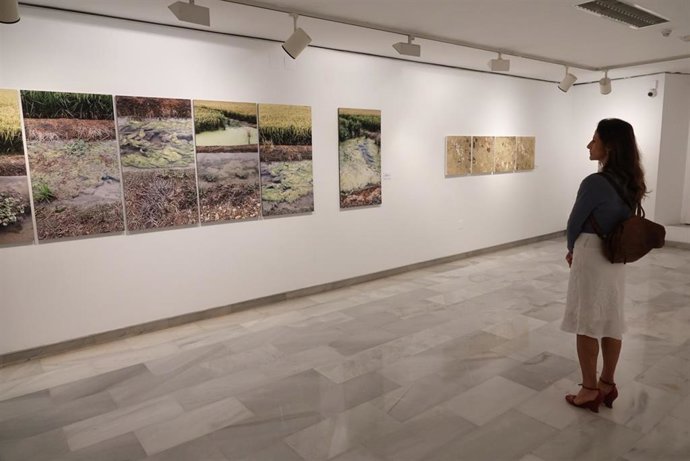 El Ayuntamiento De Málaga Informa: Las Salas Mingorance Del Archivo Municipal Of