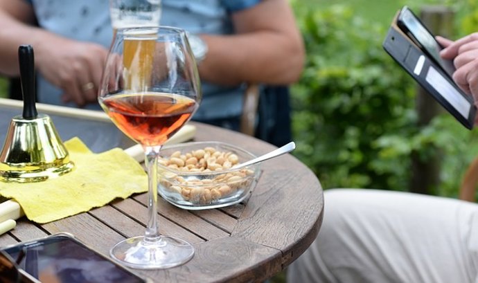 Consumir alcohol provoca ganas de comer porque usa los mismos circuitos cerebrales que la dieta alta en grasas 