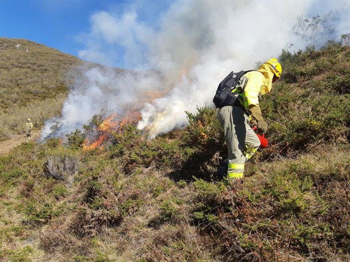 Ingenieros técnicos forestales reclaman más medidas de prevención ante incendios forestales