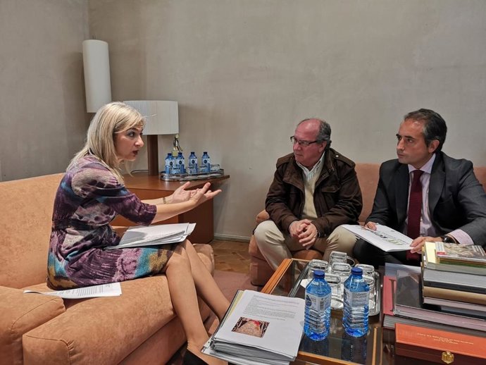 Cádiz.- Saldaña (PP) pide a la Junta apoyo a su proyecto para Jerez con motivo del Año Internacional del Flamenco 2020