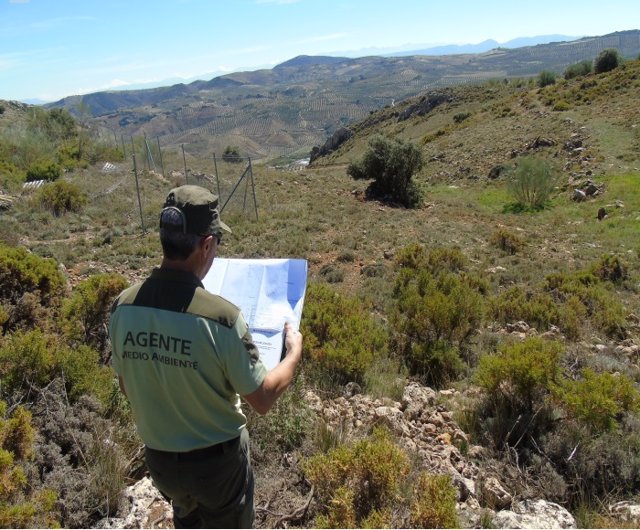Jaén.- Consejería de Agricultura inicia un plan de inspección de los 4.724 kilómetros de vías pecuarias de la provincia
