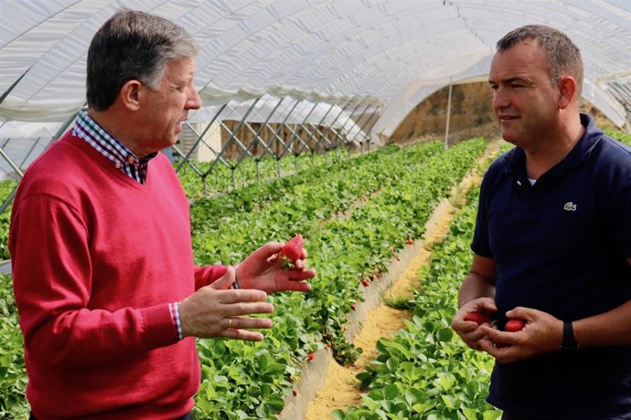 Huelva.- 28A.- Romero sostiene que con un Gobierno del PP "están aseguradas las infraestructuras del agua para Huelva"