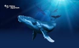La Reina Sofia presidir el 16 d'abril la inauguració de 'Gegants de l'Oce' a Palma Aquarium