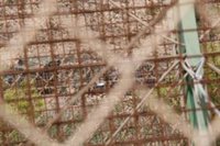 El PSOE vuelve a prometer que quitará las concertinas de Ceuta y Melilla que el Gobierno se marcó como prioridad