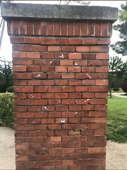 Arrancan la placa en homenaje a La Veneno una semana después de su inauguración en el Parque del Oeste