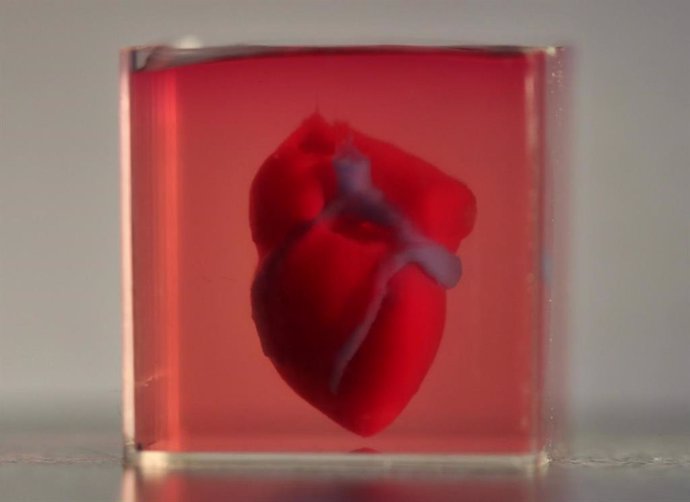 Científicos imprimen en 3D el primer corazón con tejido humano