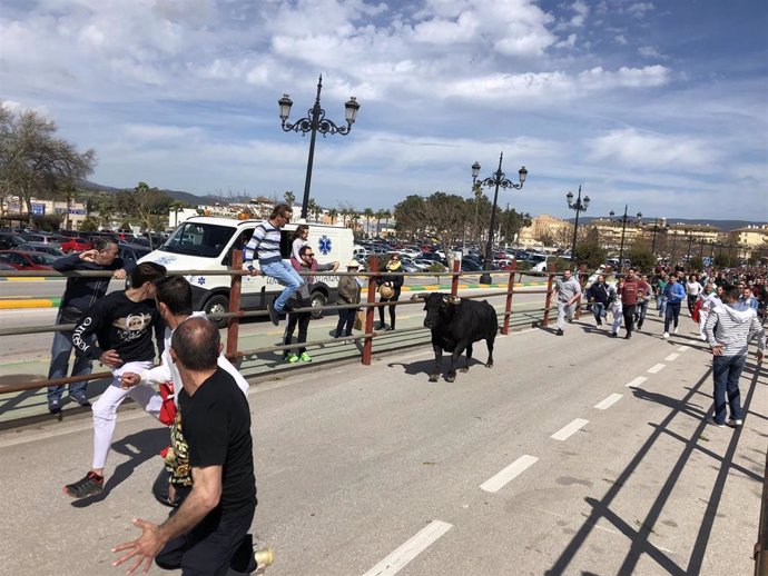 Cádiz.-Los Barrios recuerda en un bando la prohibición de menores en los encierros del Toro Embolao y el maltrato animal