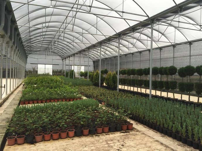 [Grupoextremadura] Fotos El Vivero De La Diputación De Badajoz Suministra Planta