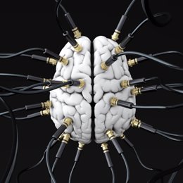 La estimulación del cerebro epiléptico rompe las redes neuronales para prevenir 