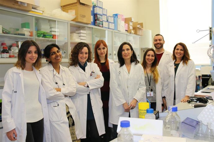 El incliva relaciona una familia de células con la resistencia al tratamiento en cáncer de mama triple negativo