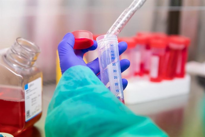 La UPV/EHU destina 7,5 millones a reforzar y apoyar la investigación