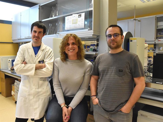 Un estudio del Sincrotrón Alba constata la ineficacia de fármacos contra la diabetes