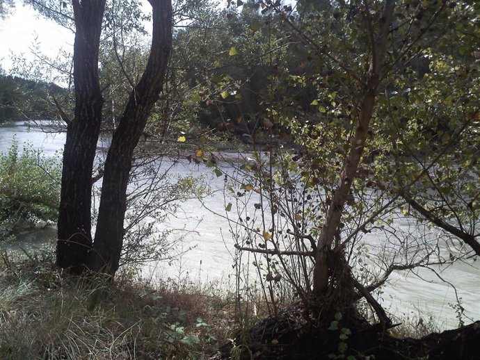 Riveras Del Río Gállego En Eres (Huesca)