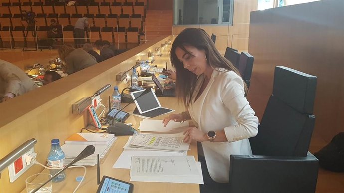 Málaga.- Cs pide que la Diputación se comprometa con el tercer hospital con una aportación mínima de un millón de euros