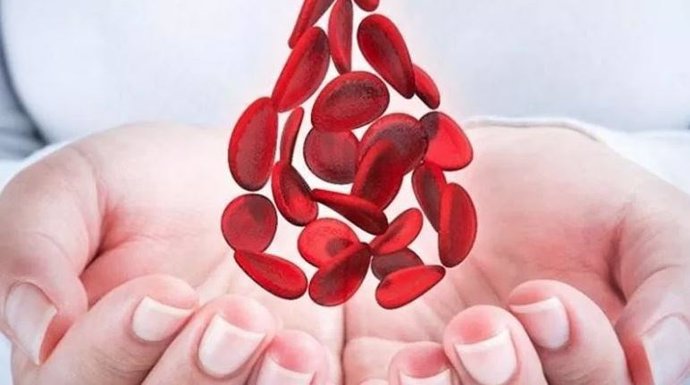 17 De Abril: Día Mundial De La Hemofilia, ¿De Qué Se Trata Y Por Qué Se Celebra En Esta Fecha?
