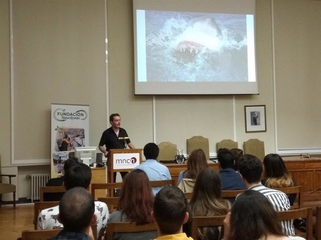 El gran tiburón blanco del Mediterráneo, antes abundante, es raro en la actualidad por la presión humana, según experto