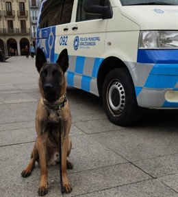 Policía Municipal de Pamplona crea un equipo de guías caninos