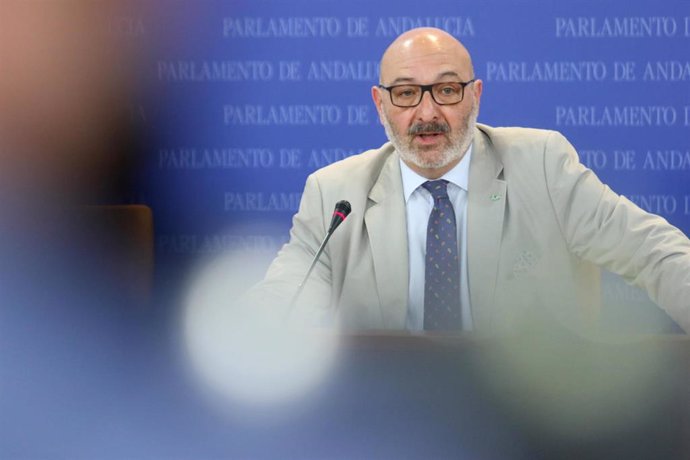 Rueda de prensa del portavoz parlamentario de Vox Andalucía, Alejandro Hernández