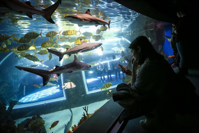Granada.- S.Santa.- El Parque de las Ciencias y el BioDomo abrirán durante las vacaciones de Semana Santa