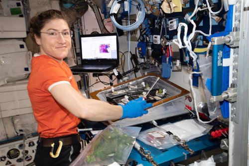 La astronauta de la NASA Christina Koch pasará 328 días en órbita