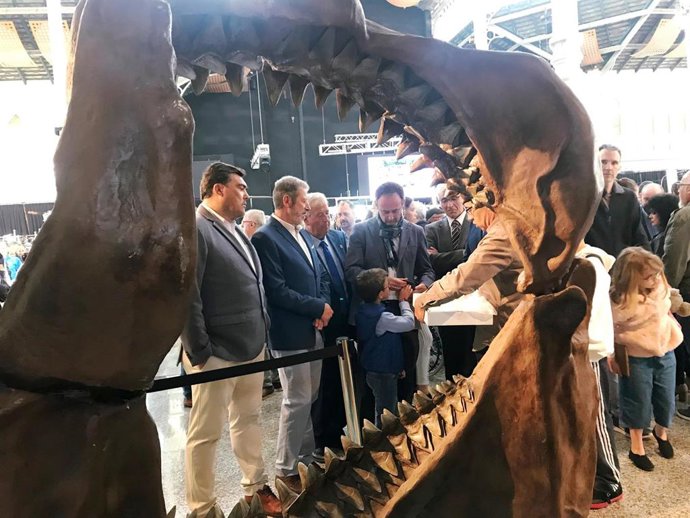 Inaugurada la XXIII Feria de Minerales y Fósiles de La Unión