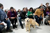 Iglesias promete endurecer el Código Penal para que no salga "barato" maltratar animales, e incluirá a los salvajes