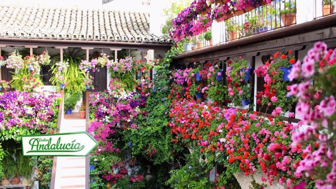 Los patios de Córdoba y Ronda, paradas de 'Destino Andalucía' esta semana