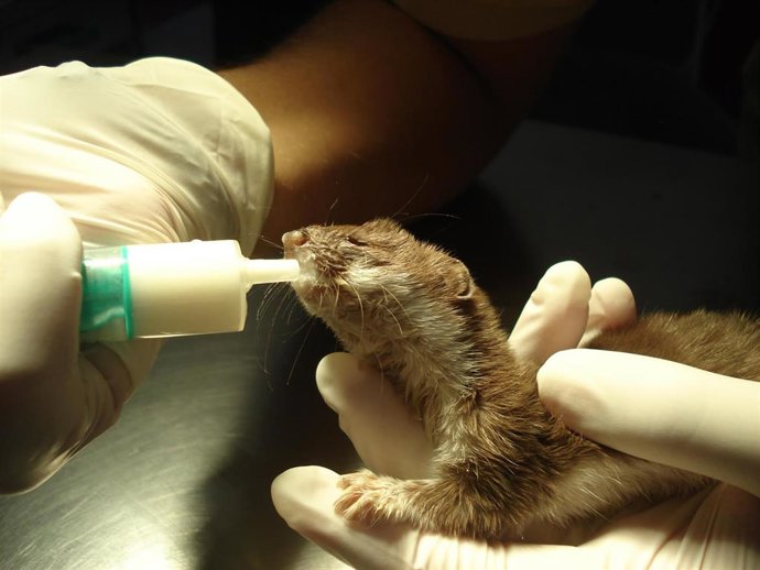 Nota De Prensa Consejería De Agricultura