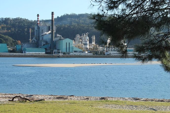 El Gobierno apela a "seguir la ley" con la planta de Ence en Pontevedra, pendiente de que resuelva la Audiencia Nacional