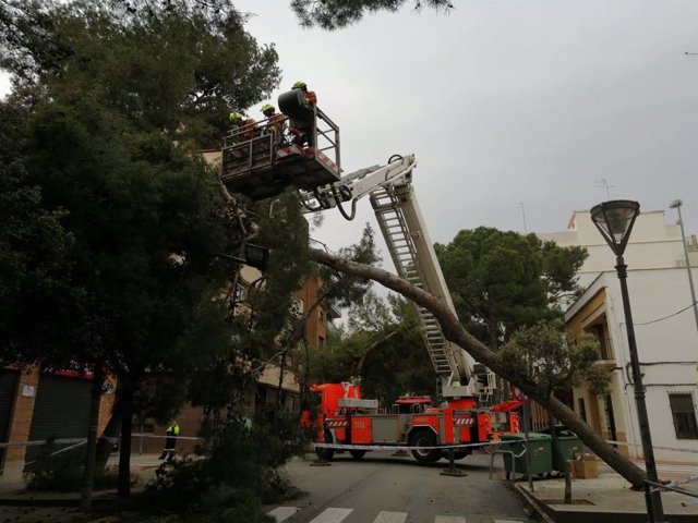 El temporal provoca caídas de árboles, bloqueos de vehículos por agua y más de 180 intervenciones en Alicante