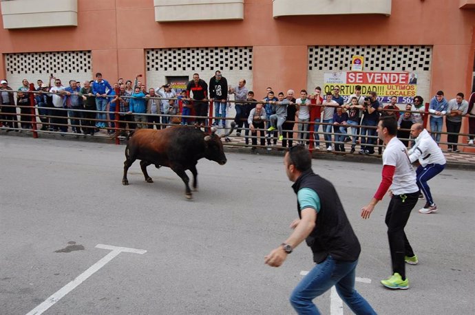 Cádiz.- Finalizan sin incidentes los encierros de la fiesta del Toro Embolao de Los Barrios