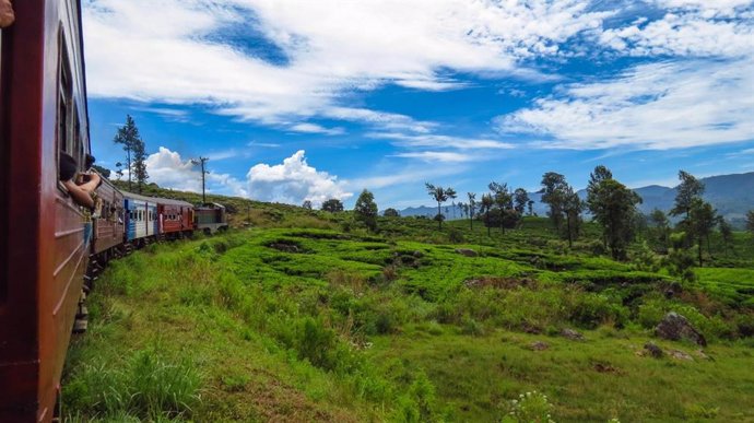 Paisaje en tren de Sri Lanka