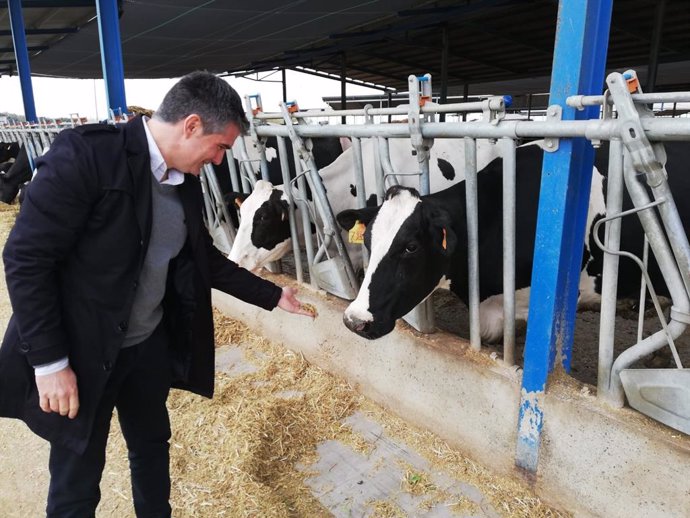 La Región produce más de 60 millones de l itros de leche fresca de vaca