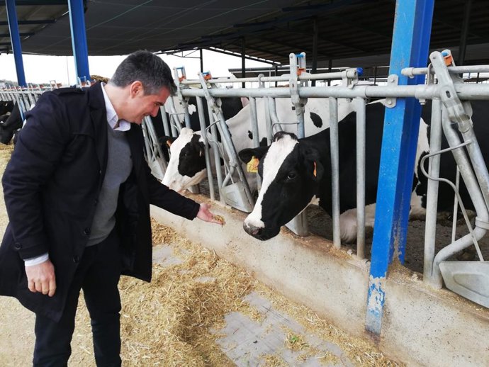 La Región produce más de 60 millones de l itros de leche fresca de vaca