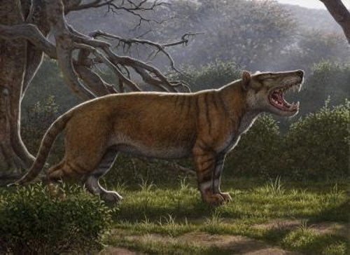 Nuevo carnívoro gigante identificado por fósiles guardados en un museo
