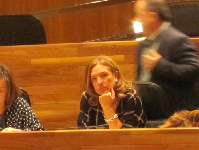 La diputada del PSOE Dolores Campillo