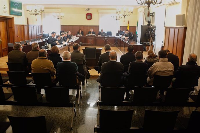 Inicio del juicio contra 14 personas por delito societario en Mercasevilla, en la Audiencia Provincial de Sevilla.