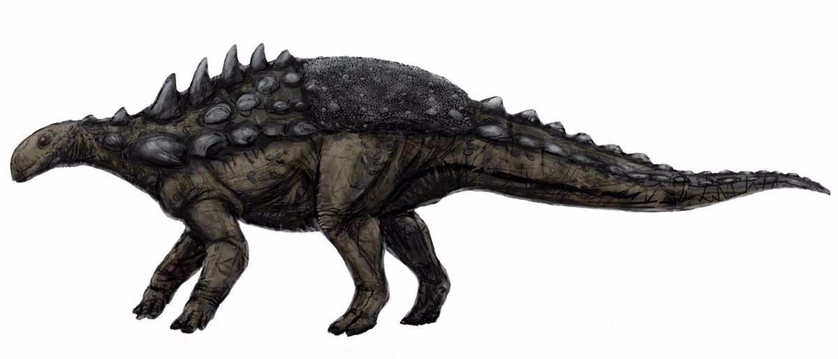 La UPV/EHU analiza el proceso de fosilización de los restos de dinosaurio  de La Cantalera-1, en Teruel