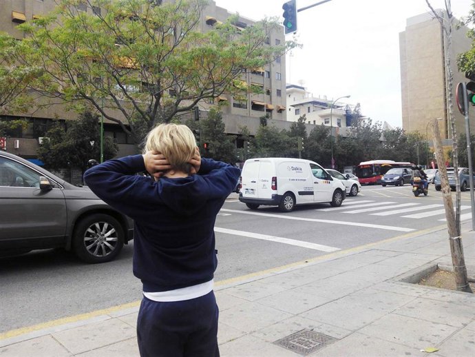 Diseñan un sistema para predecir el ruido ambiental de una ciudad.