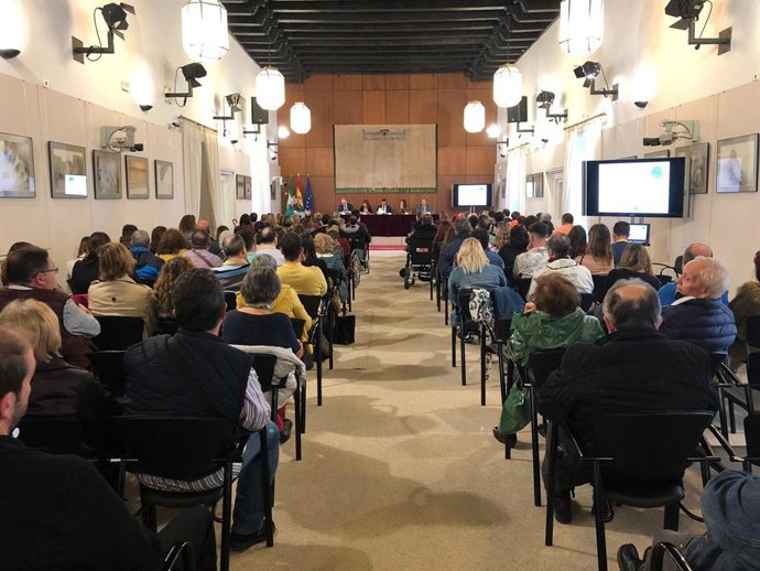 Federación Andaluza de Daño Cerebral Adquirido presenta un proyecto para dar a conocer esta discapacidad aún "invisible"