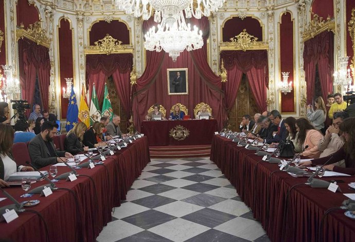 CádizAlDía.- Medidas para el empleo y la defensa del patrimonio cultural y natural marcan el Pleno de Diputación
