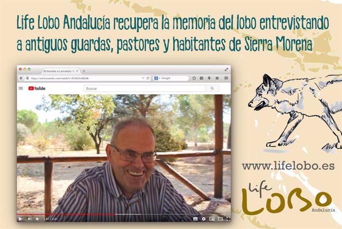 Life Lobo Andalucía recoge testimonios de quienes coexistieron con la especie en