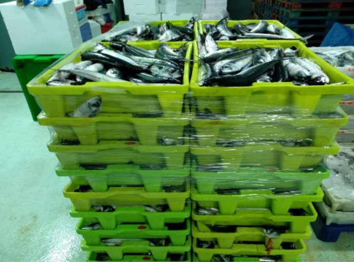 Pesca.- Intervenidos en A Coruña 4.990 kilos de caballa sin el etiquetado que garantice su trazabilidad