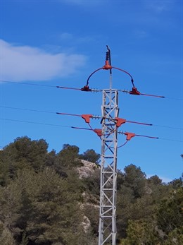 Endesa instala dispositivos para proteger la avifauna en Terres de l'Ebre (Tarragona)