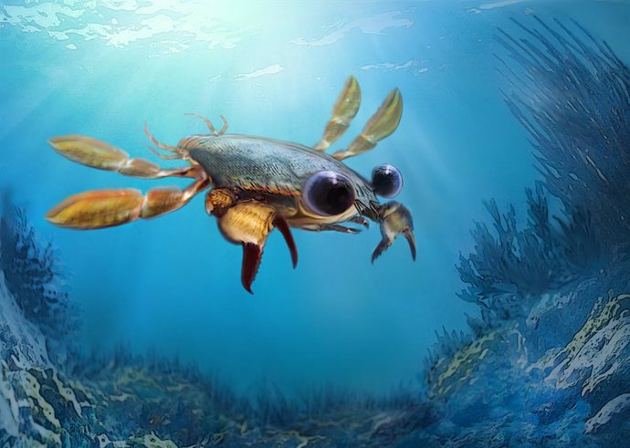 Fósiles desconcertantes obligan a repensar la definición de cangrejo