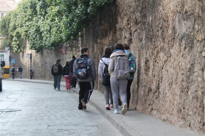 El TC avala la enseñanza en catalán siempre que se asegure el dominio del castel