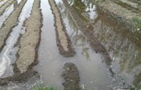 El temporal de primavera en Levante durante Semana Santa no tiene precedentes en la historia de España