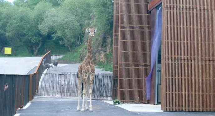 La recién concluida Semana Santa, "una de las mejores" en Cantabria, según Martín