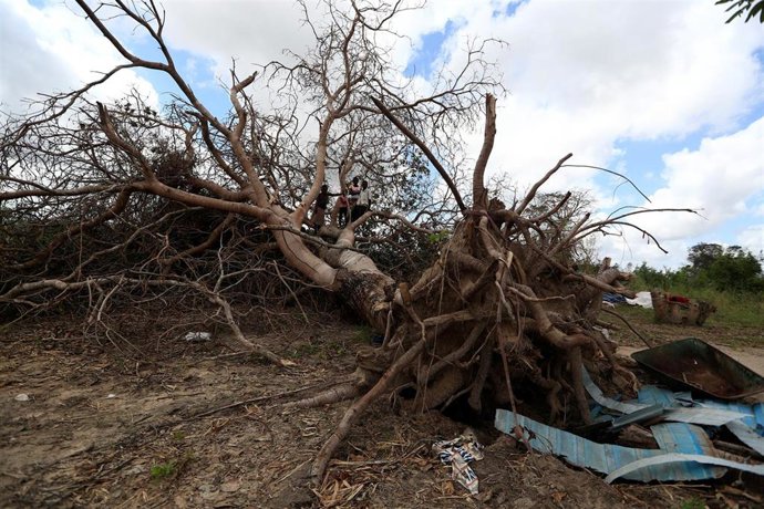Mozambique.- HRW denuncia que responsables locales exigen dinero o sexo a cambio de ayuda tras el paso de 'Idai' por Moz