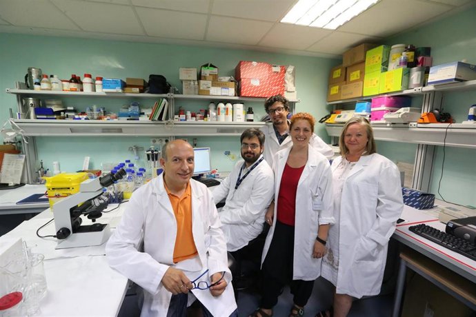 Andalucía.-Ibima lidera un proyecto para investigar cómo el alcohol o la cocaína influyen sobre trastornos psiquiátricos
